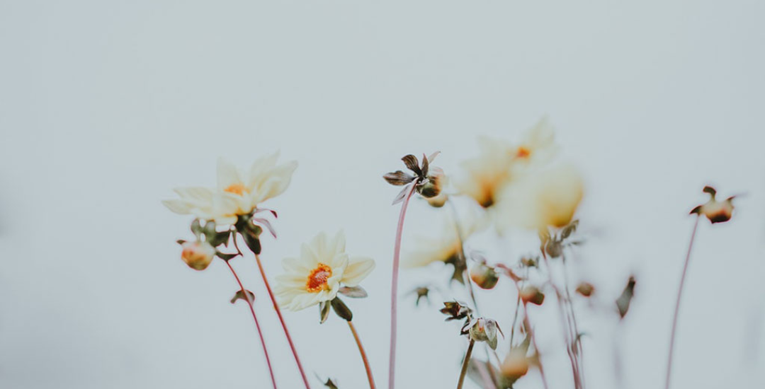 Deb Shugg Diary of Secrets Depression and Anxiety