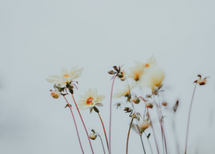 Deb Shugg Diary of Secrets Depression and Anxiety